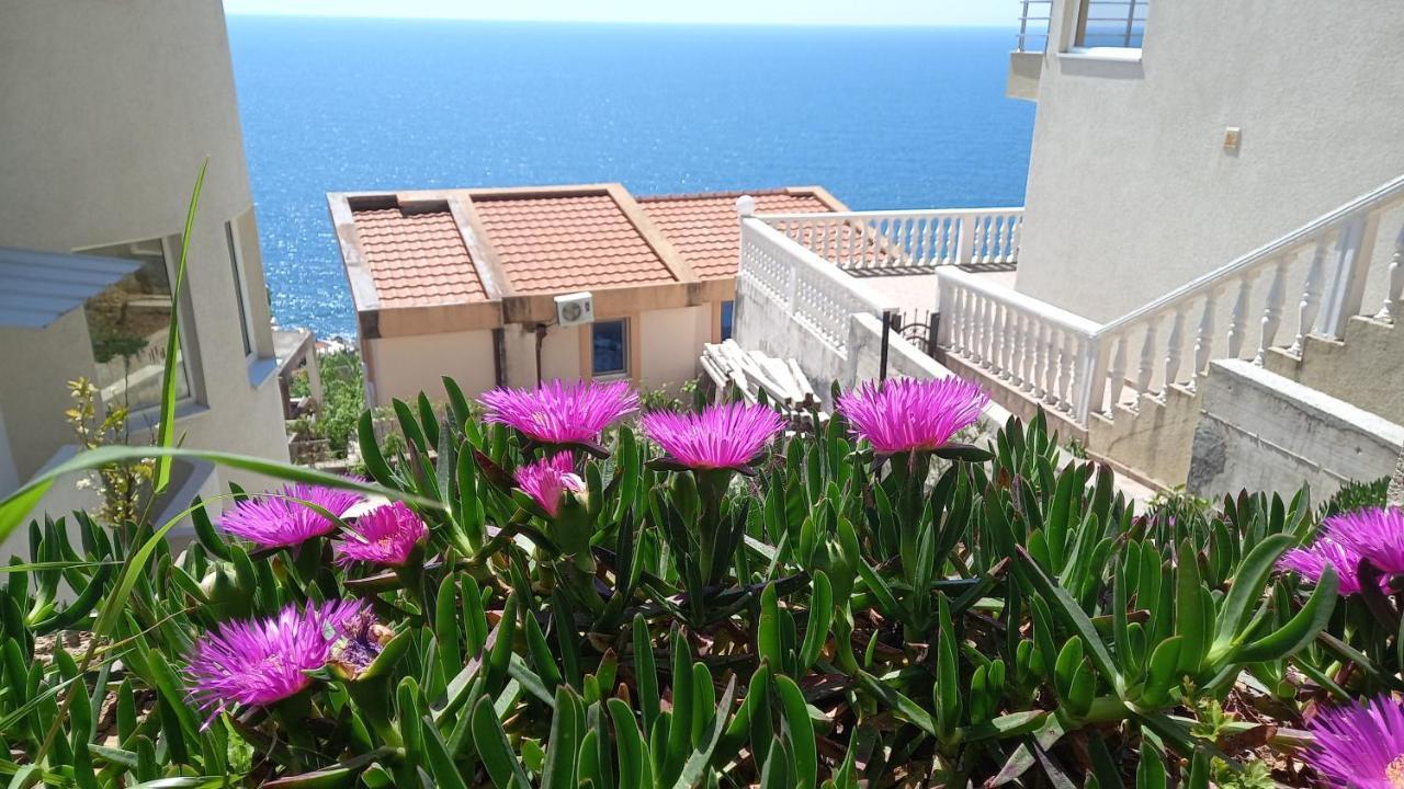 Captain's View דירה דוברה וודה