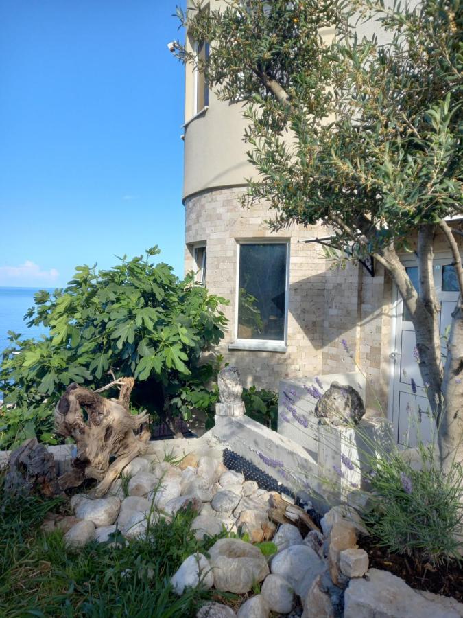 Captain's View דוברה וודה