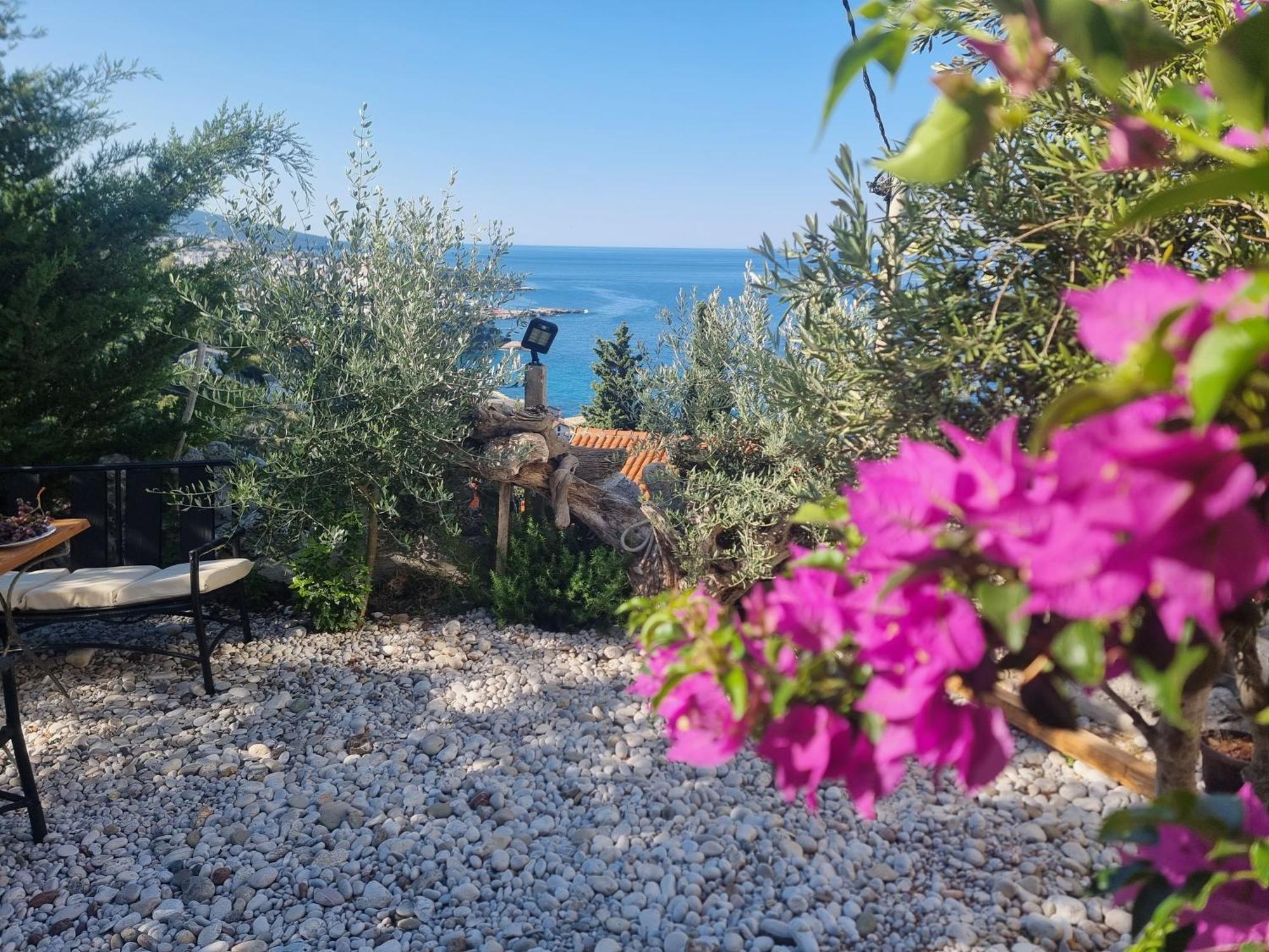 Captain's View דירה דוברה וודה